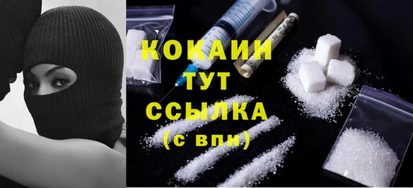 гашик Дмитровск
