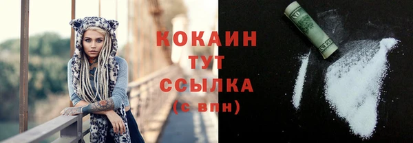 гашик Дмитровск